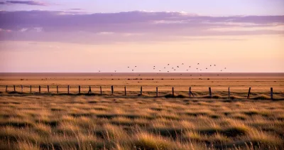 Séjour de chasse en Argentine : bien préparer son voyage pour le pigeon et la tourterelle