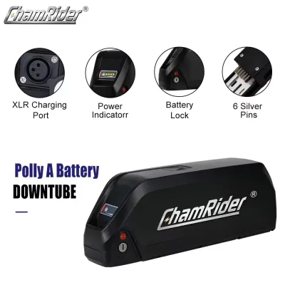 Batterie de vélo électrique 48 V à tube descendant – image 2